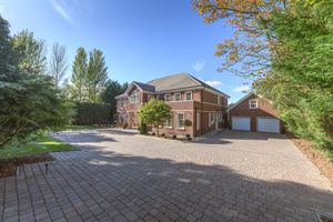 Photo 29- click for photo gallery